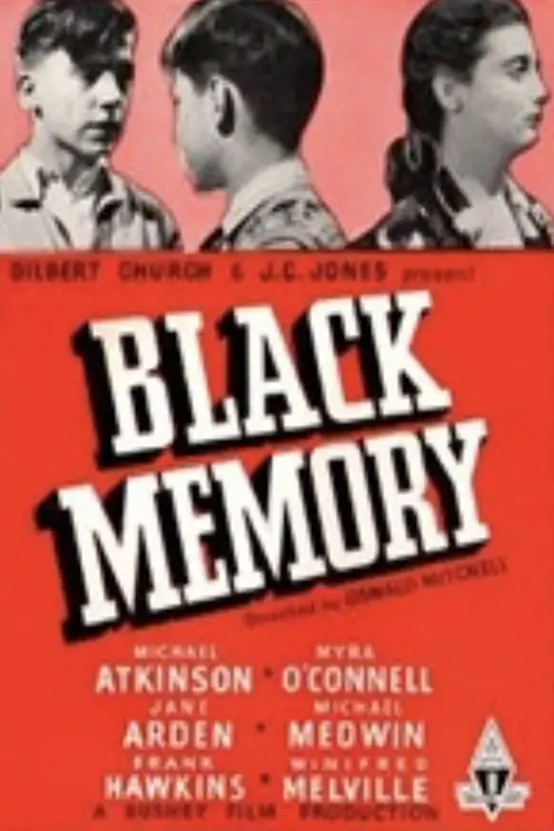Постер до фільму "Black Memory"