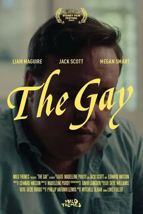 Постер до фільму "The Gay"