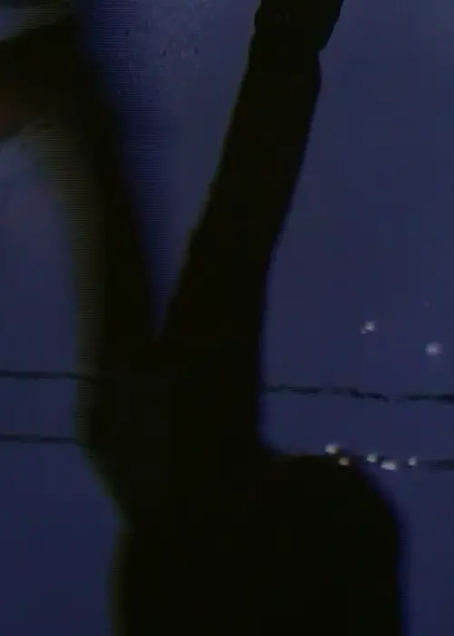 Постер до фільму "[W I N G S O F L O V E]"