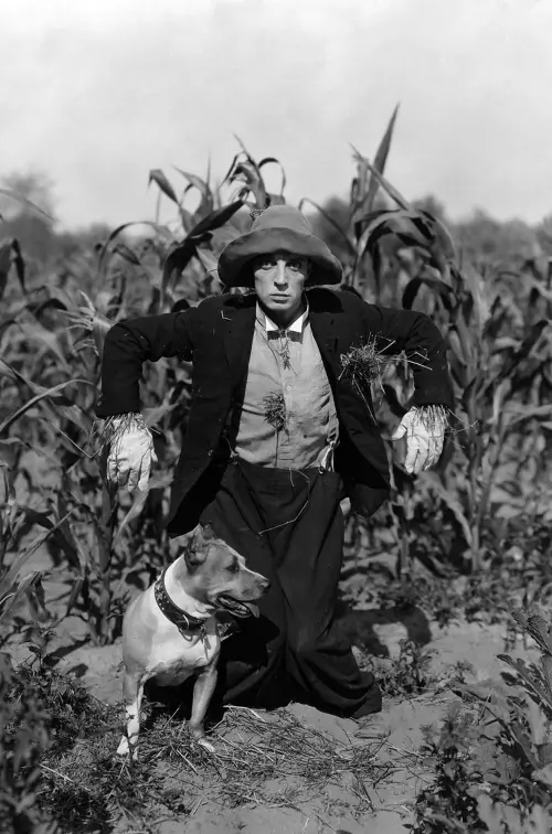 Постер до фільму "The Scarecrow"