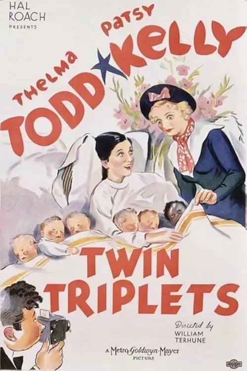 Постер до фільму "Twin Triplets"