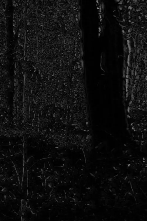 Постер до фільму "Phosphenes II"
