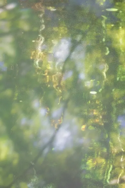 Постер до фільму "Printemps"