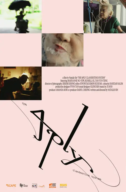 Постер до фільму "The 4PLY Clandestine System"