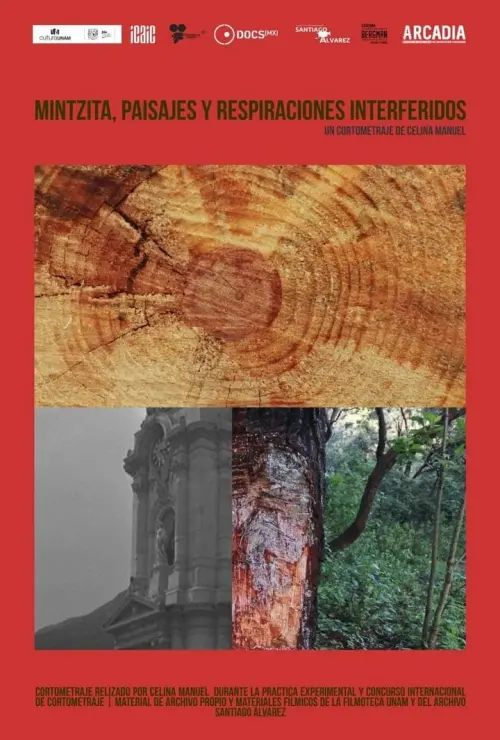 Постер до фільму "Mintsita, paisajes y respiraciones interferidos"