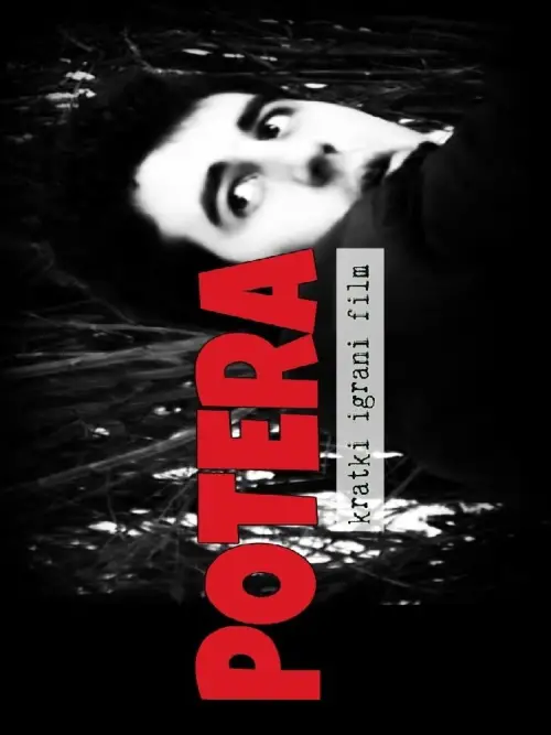 Постер до фільму "The Pursuit"