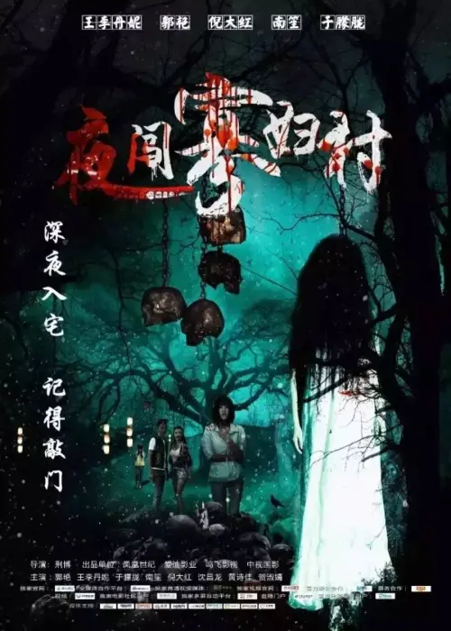 Постер до фільму "Visit the Widow Village in the Night"