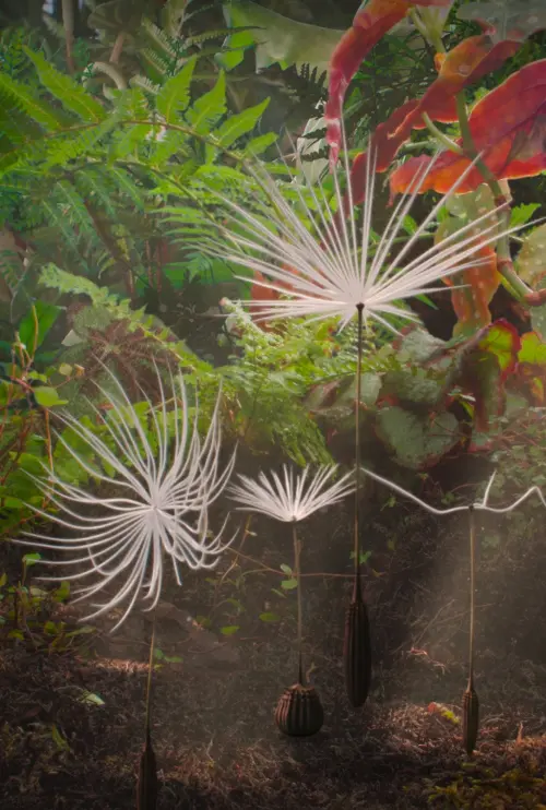 Постер до фільму "Dandelion