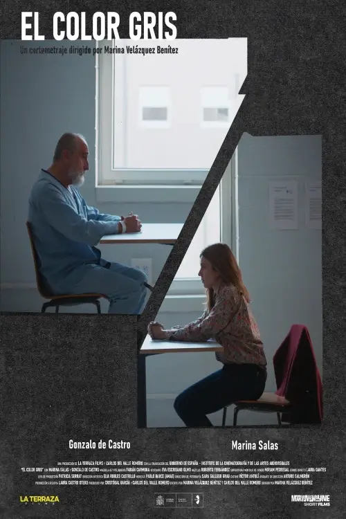 Постер до фільму "El color gris"
