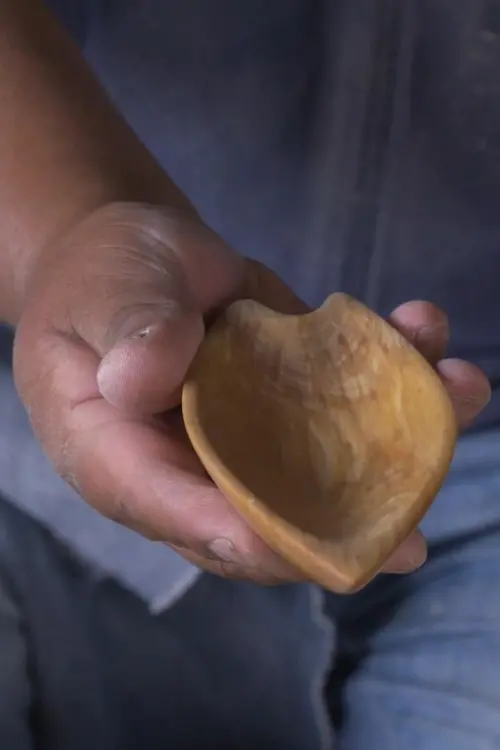 Постер до фільму "The life with the Pewen"