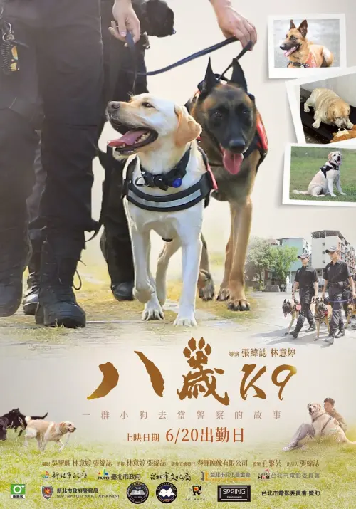 Постер до фільму "K9"