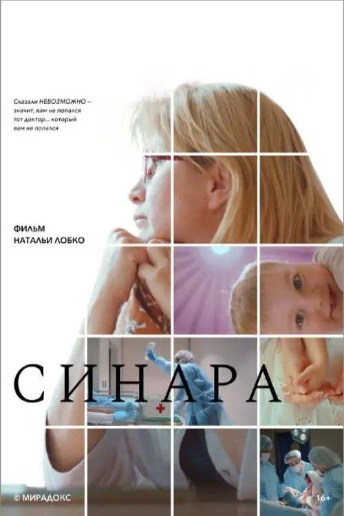 Постер до фільму "Синара"