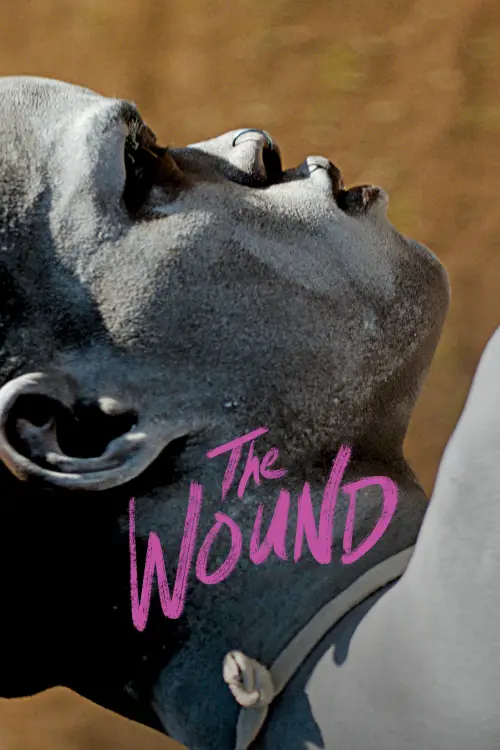 Постер до фільму "The Wound"