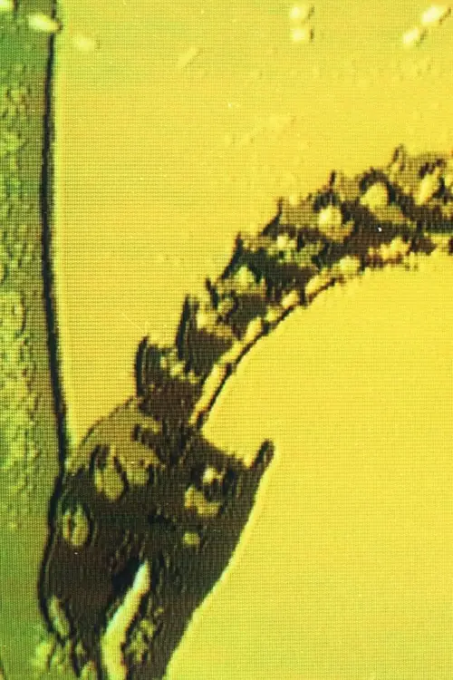 Постер до фільму "War or Peace?"