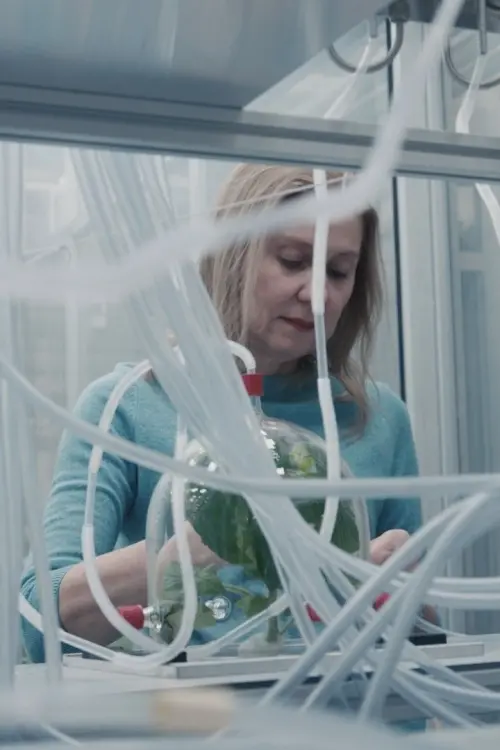 Постер до фільму "Flying Scents - of Plants and People"