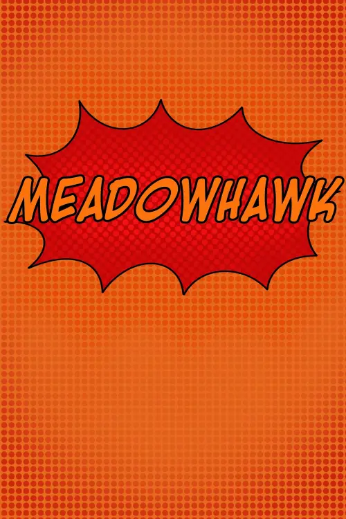 Постер до фільму "Meadowhawk"