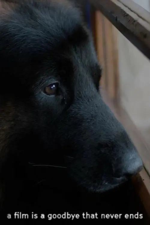 Постер до фільму "a film is a goodbye that never ends"