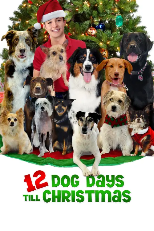 Постер до фільму "12 Dog Days Till Christmas"