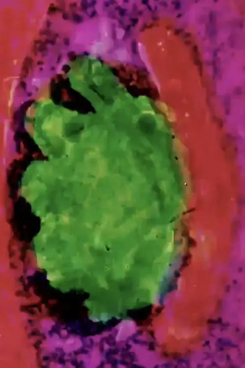 Постер до фільму "Fusion"