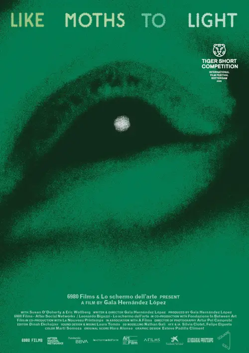 Постер до фільму "like moths to light"