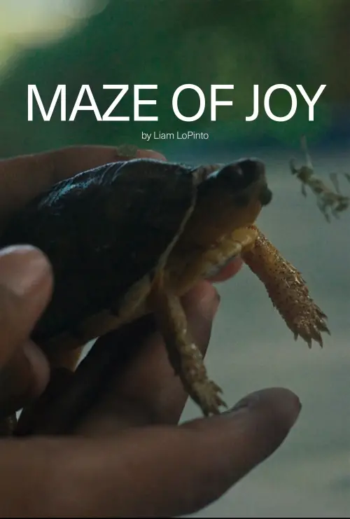 Постер до фільму "Maze of Joy"