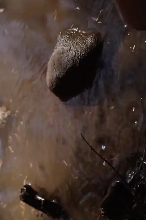 Постер до фільму "Day 3"