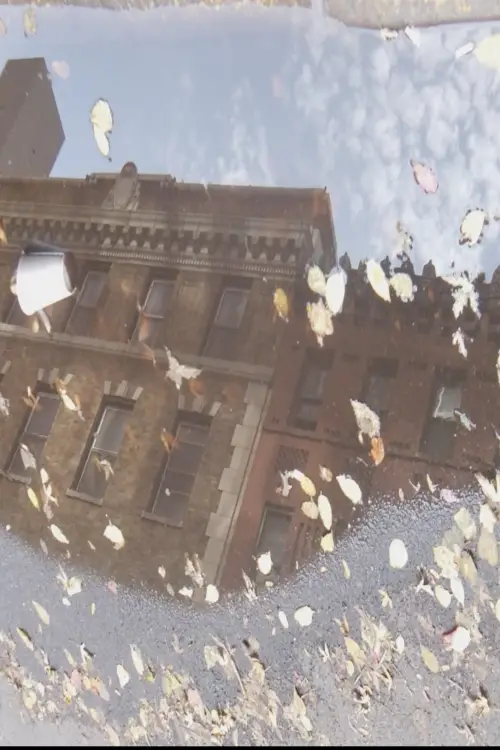 Постер до фільму "Double Wow"