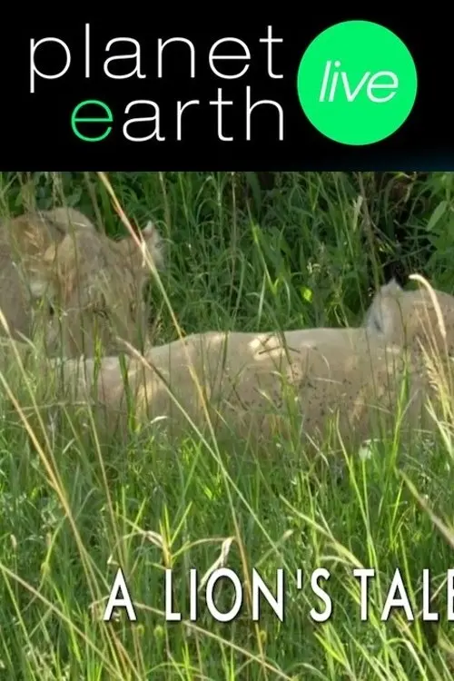 Постер до фільму "A Lion