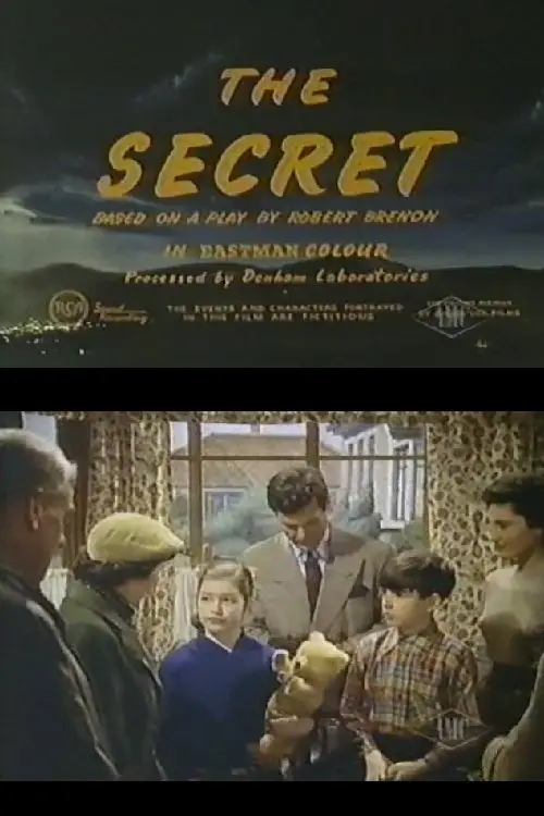Постер до фільму "The Secret"