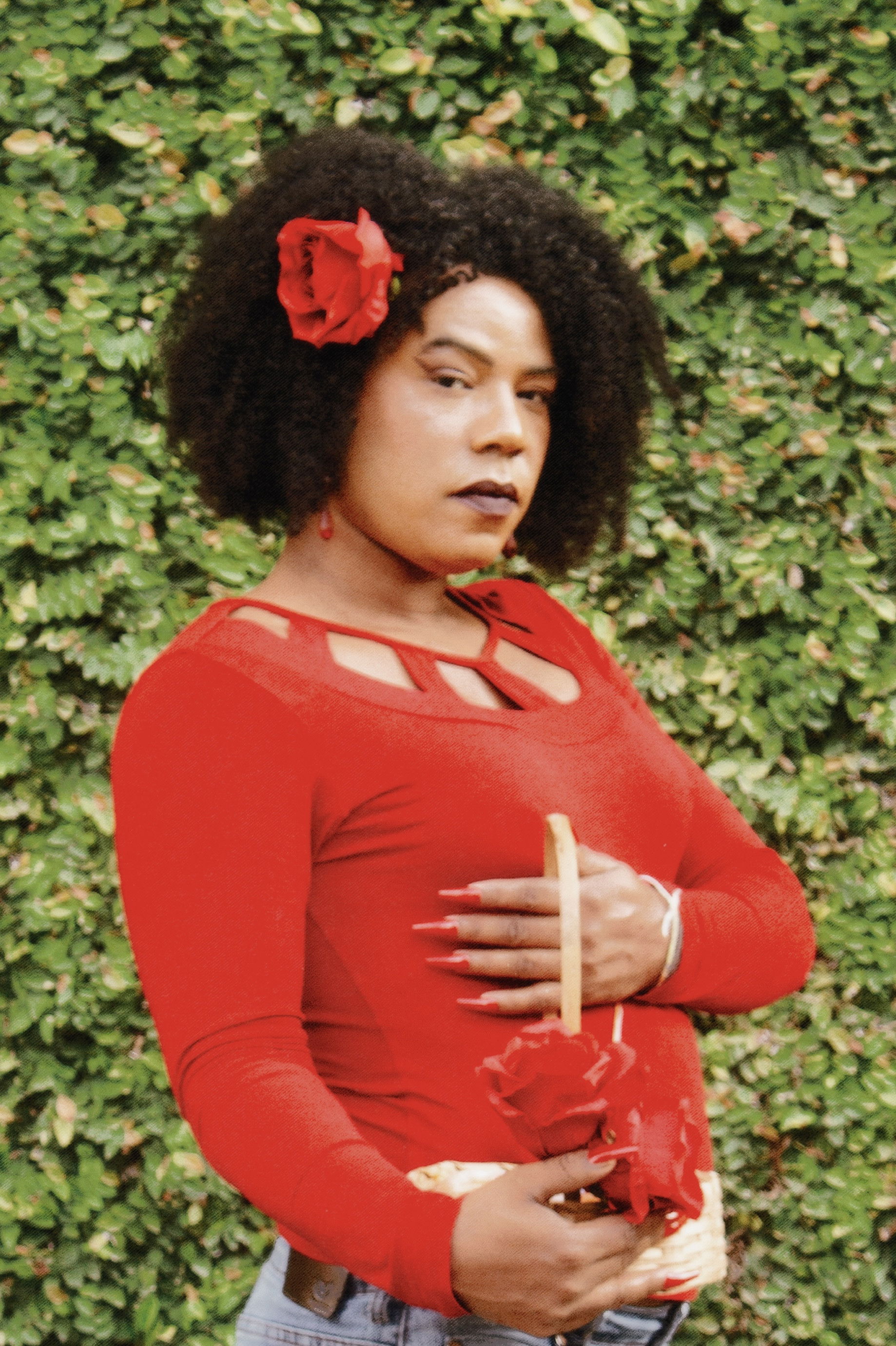 Фото  (Penellopy)