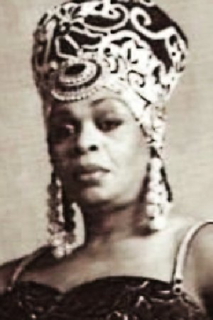 Фото  (Avis Pendavis)