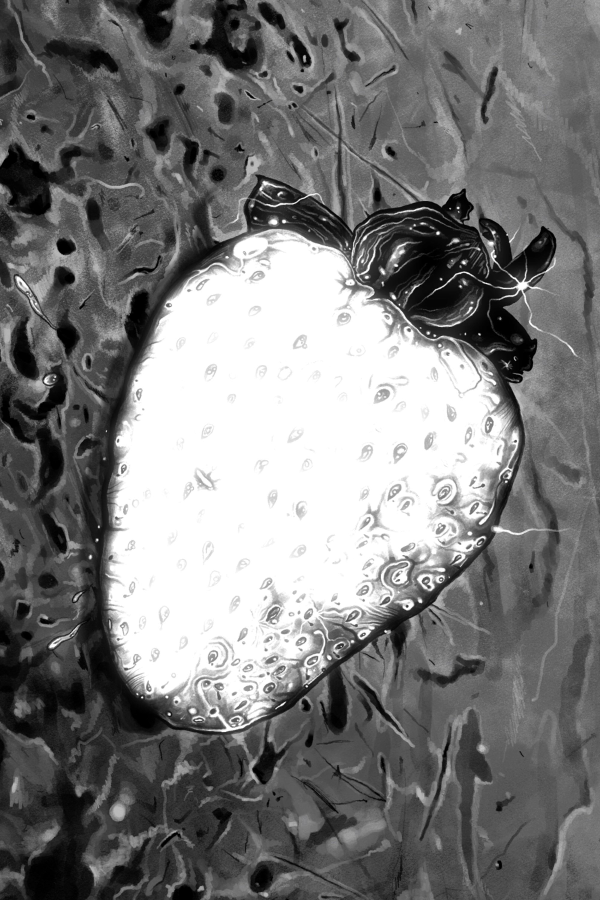 Фото  (White Strawberry)