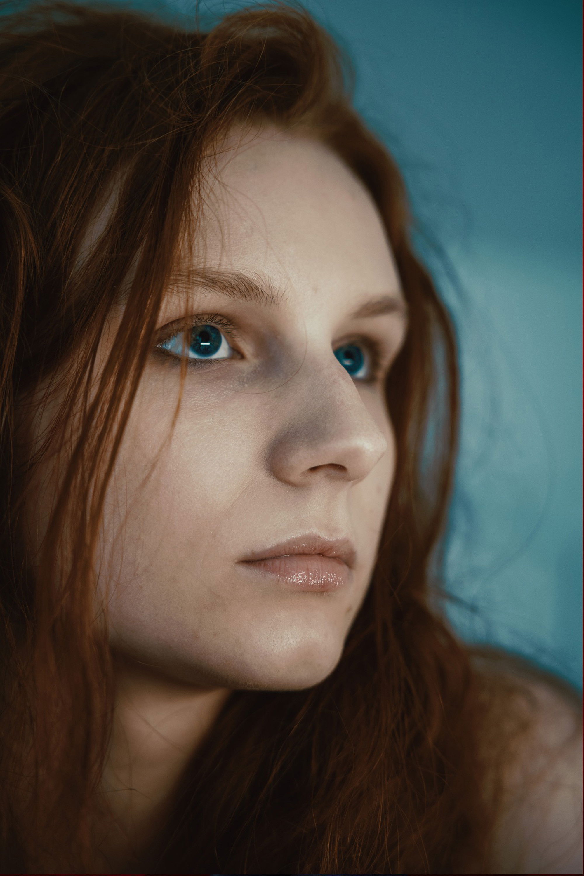 Фото  (Julia Martel)