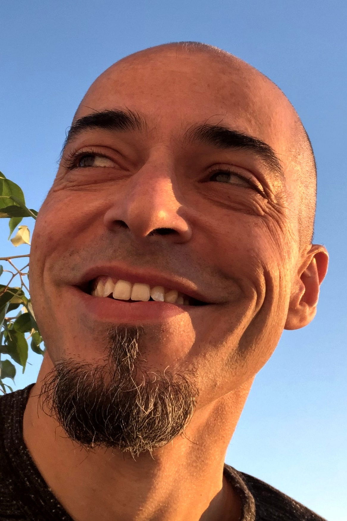 Фото  (João Alves)