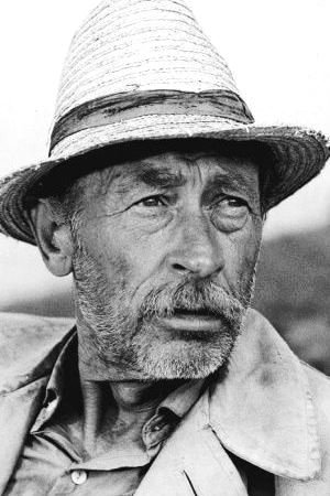 Фото  (László Bánhidy)