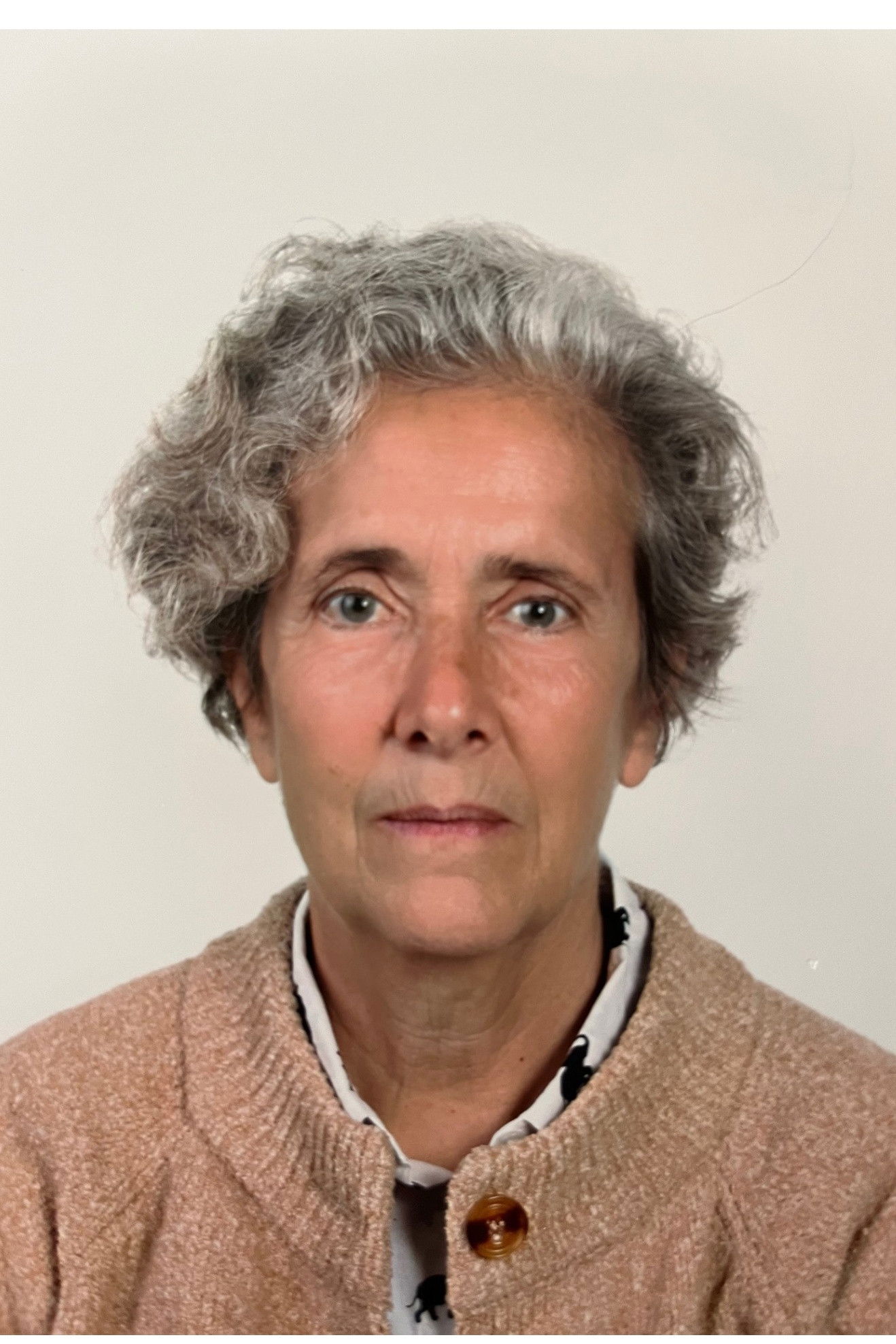 Фото  (Susana Protásio)