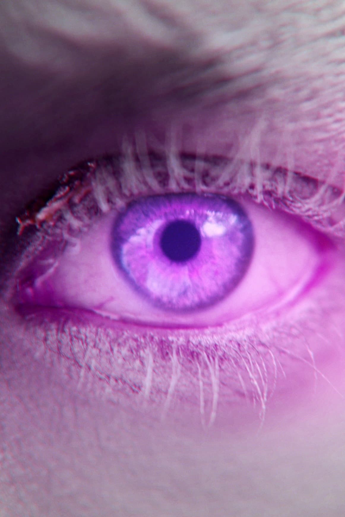 Фото  (Lucy Murfitt)