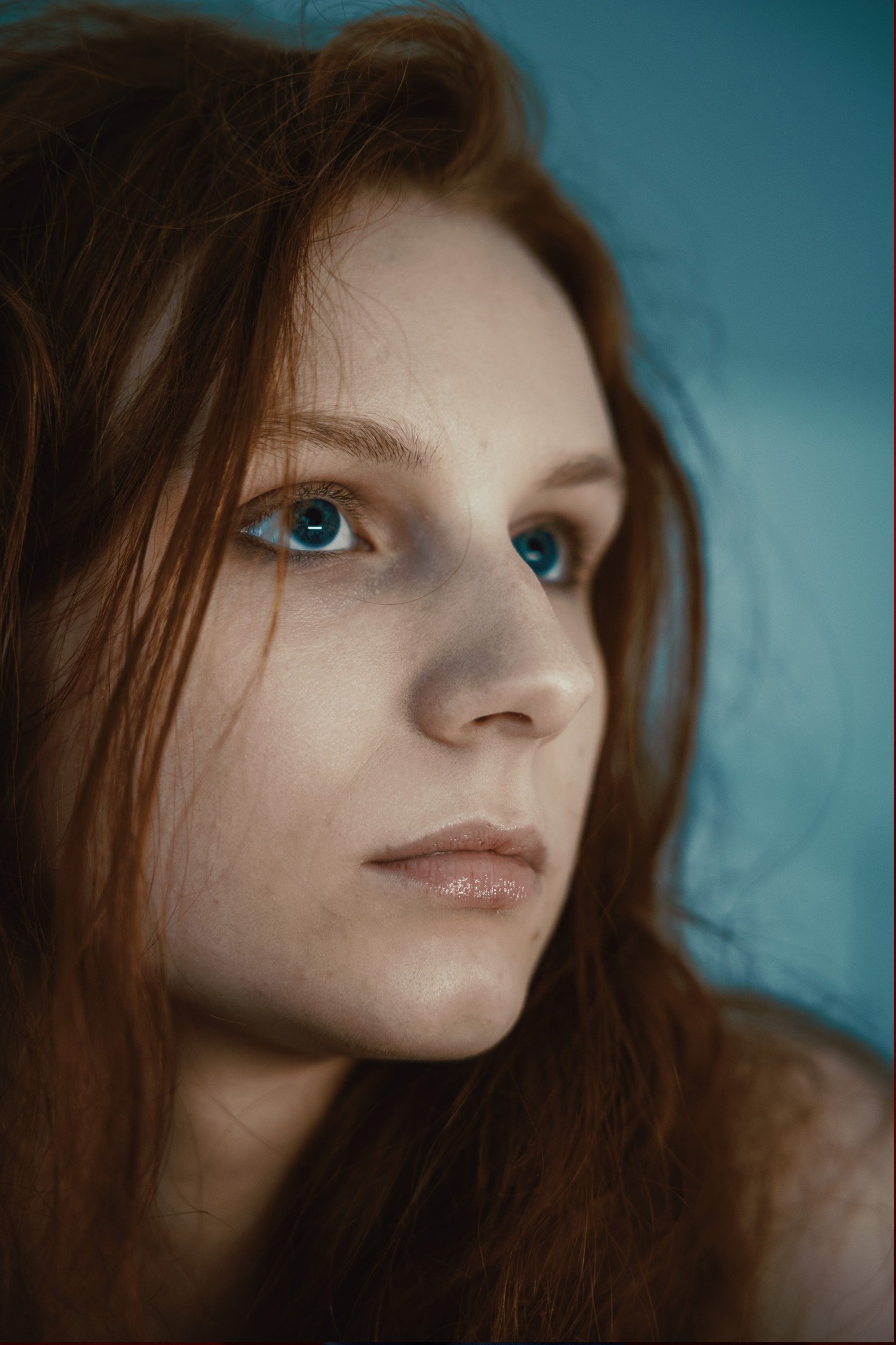 Фото  (Julia Martel)