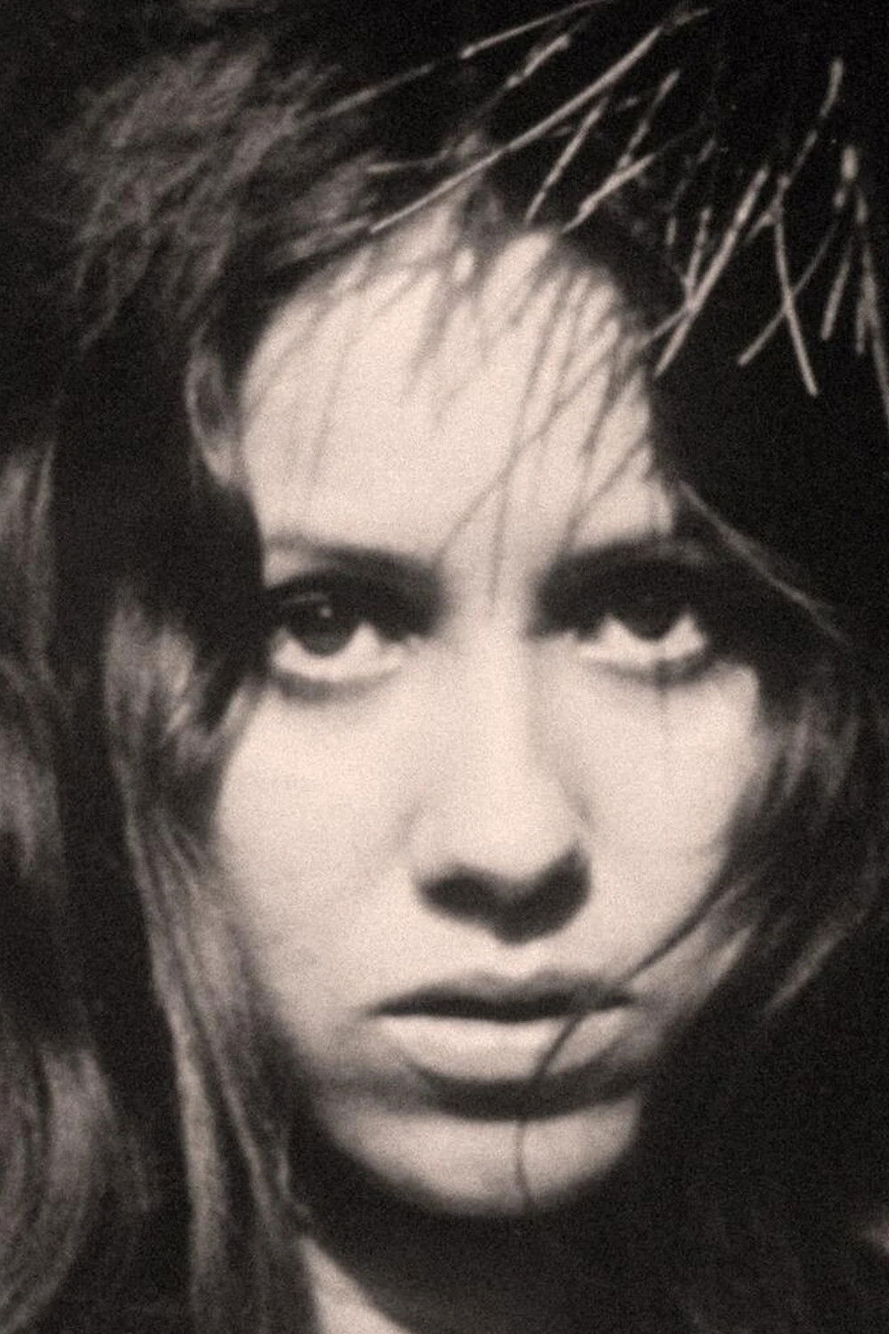 Фото  (Jeannette Dilger)