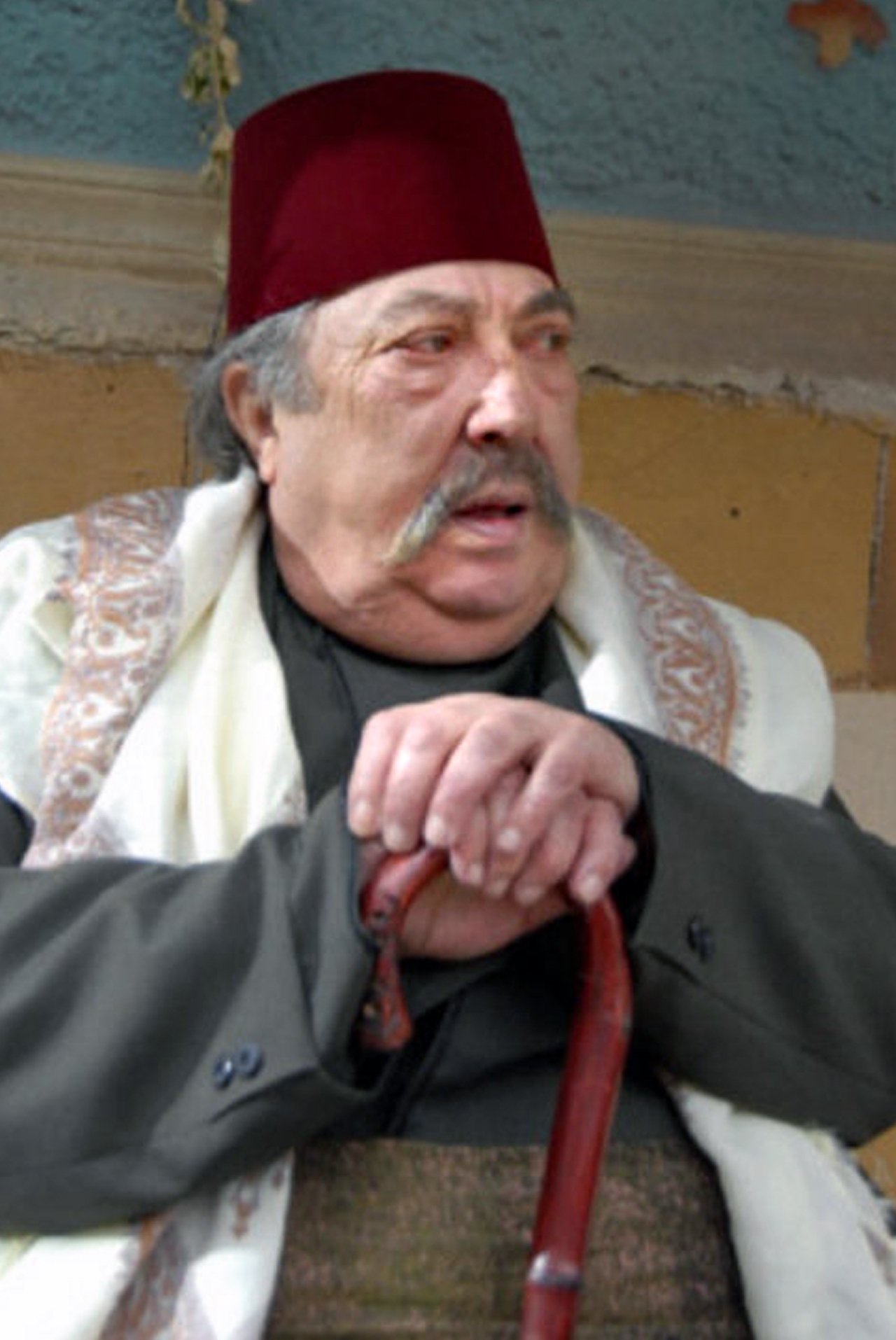 Фото  (Hani ElRomani)