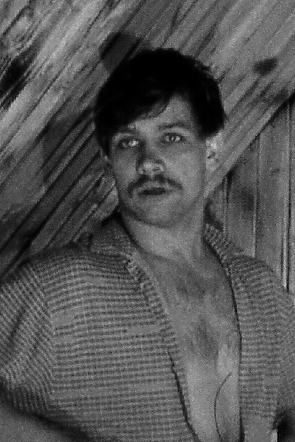 Фото  (Dmitriy Shibanov)