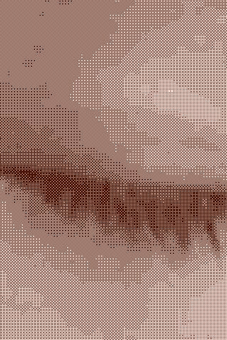 Фото  (Marin Davys)