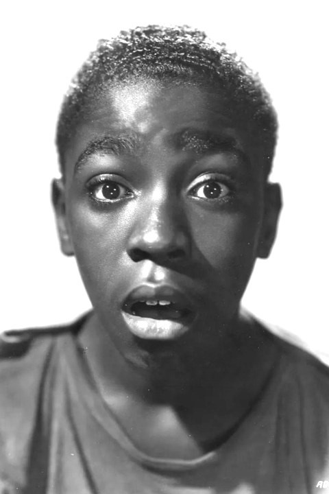 Фото  (Paul White)