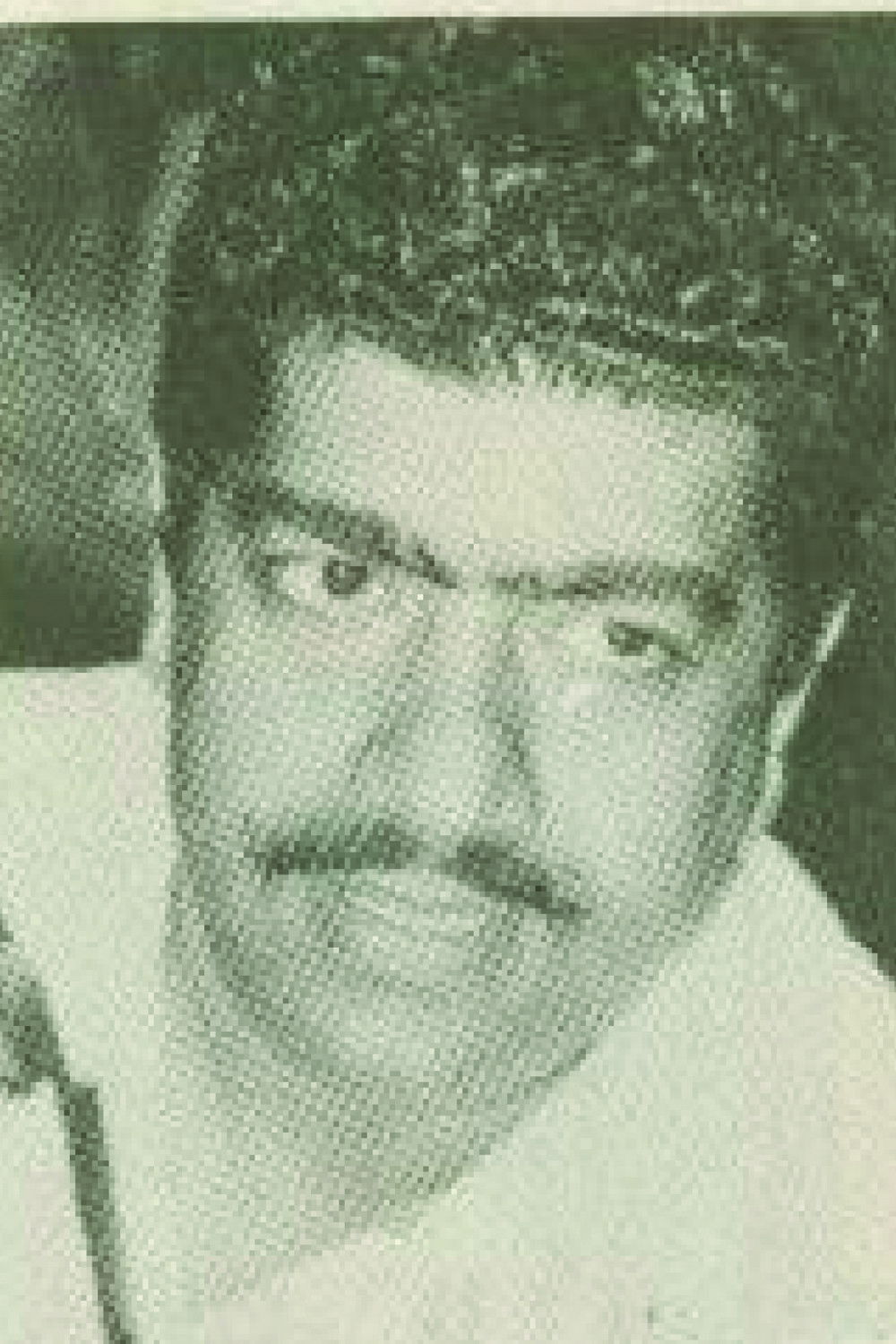 Фото  (Washi Dipa)