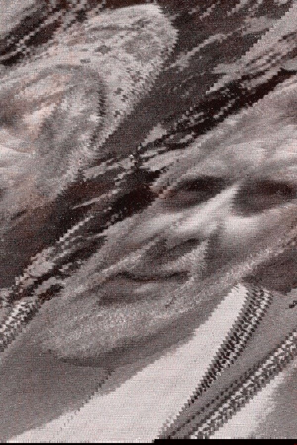 Фото  (Armando Furlai)