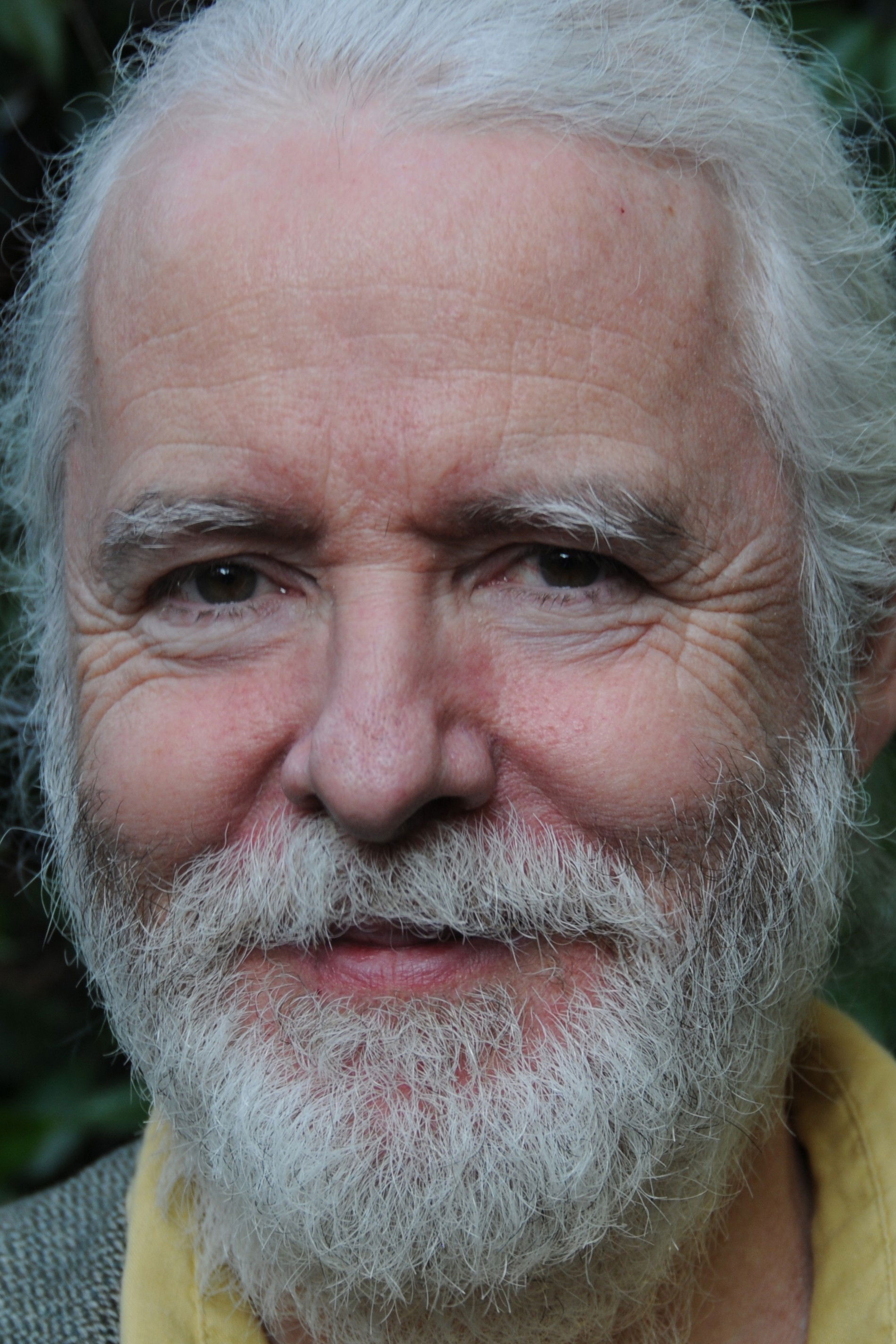 Фото  (Fulvio Wetzl)