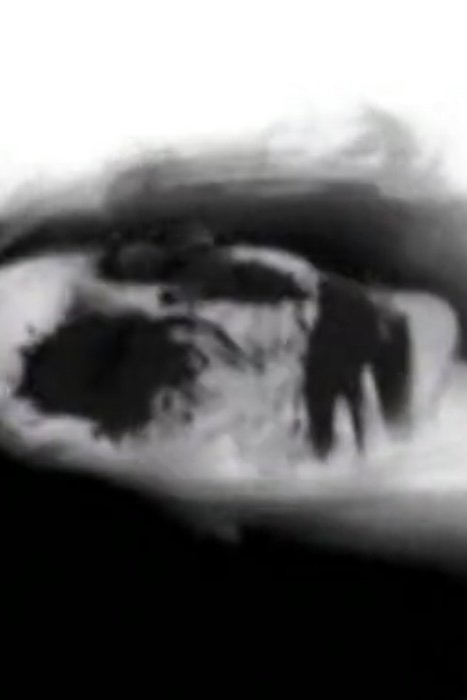 Фото  (Cinderella Valentine)