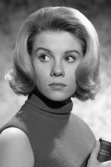 Фото  (Davey Davison)