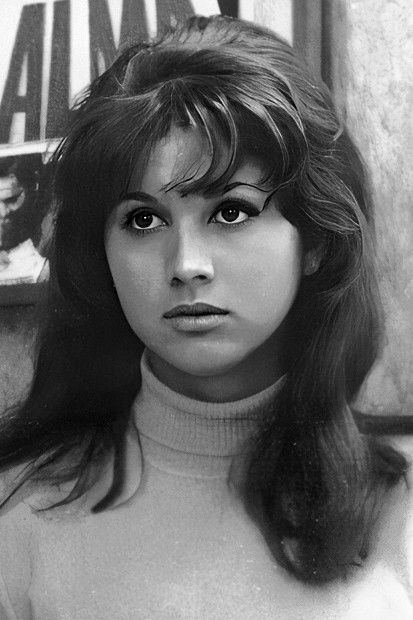 Фото  (Vera Vianna)