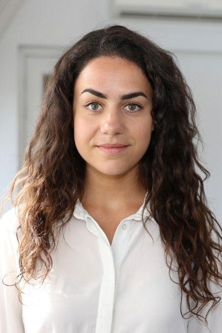 Фото  (Lisanne Sweere)